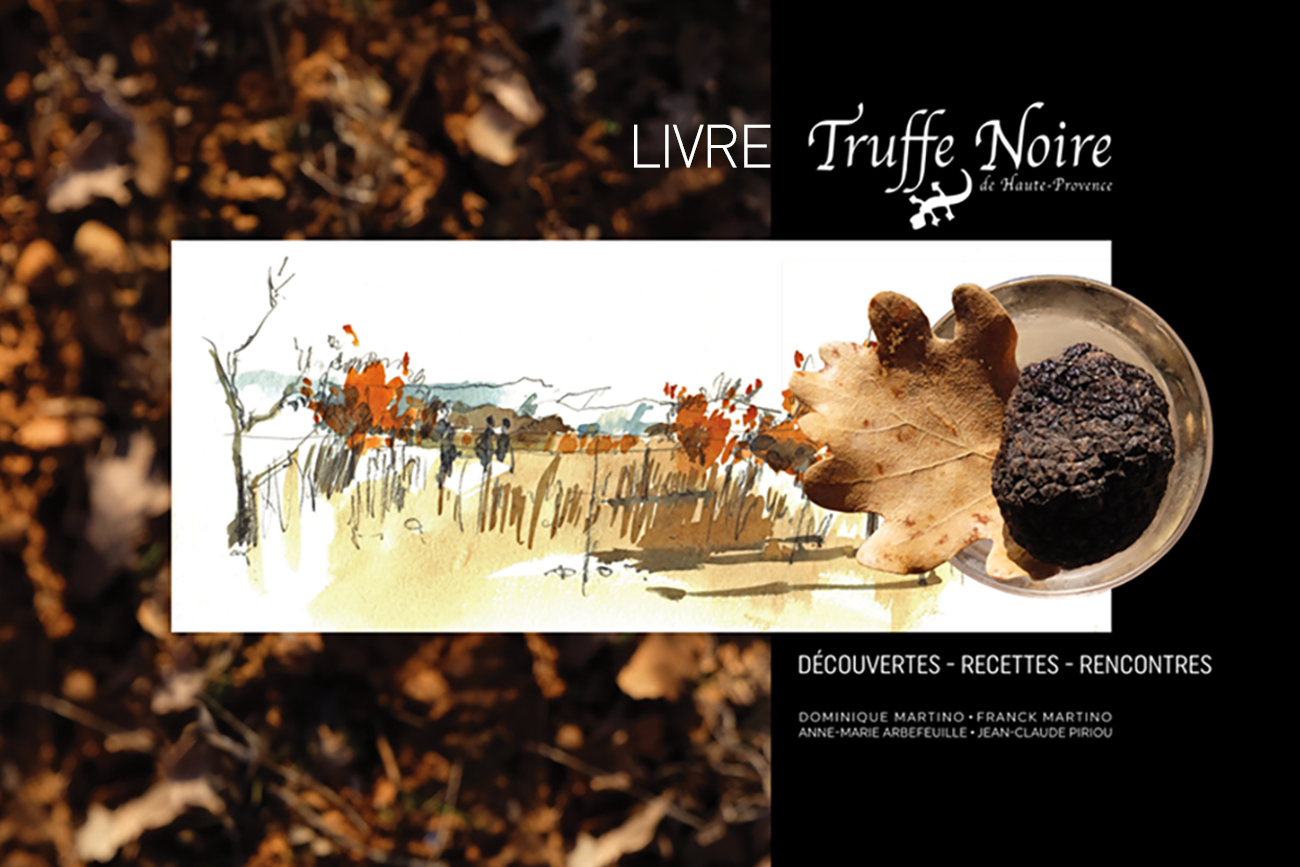  - Truffe Noire 