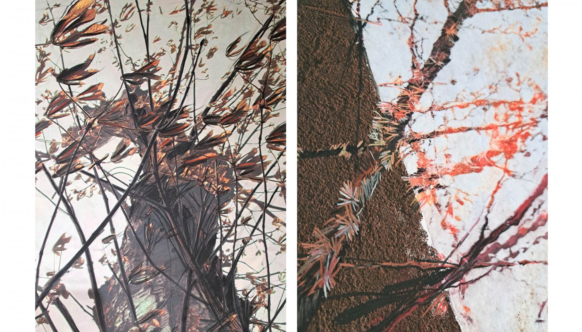 ARBEFEUILLE GALERIE - Restitutions_page2