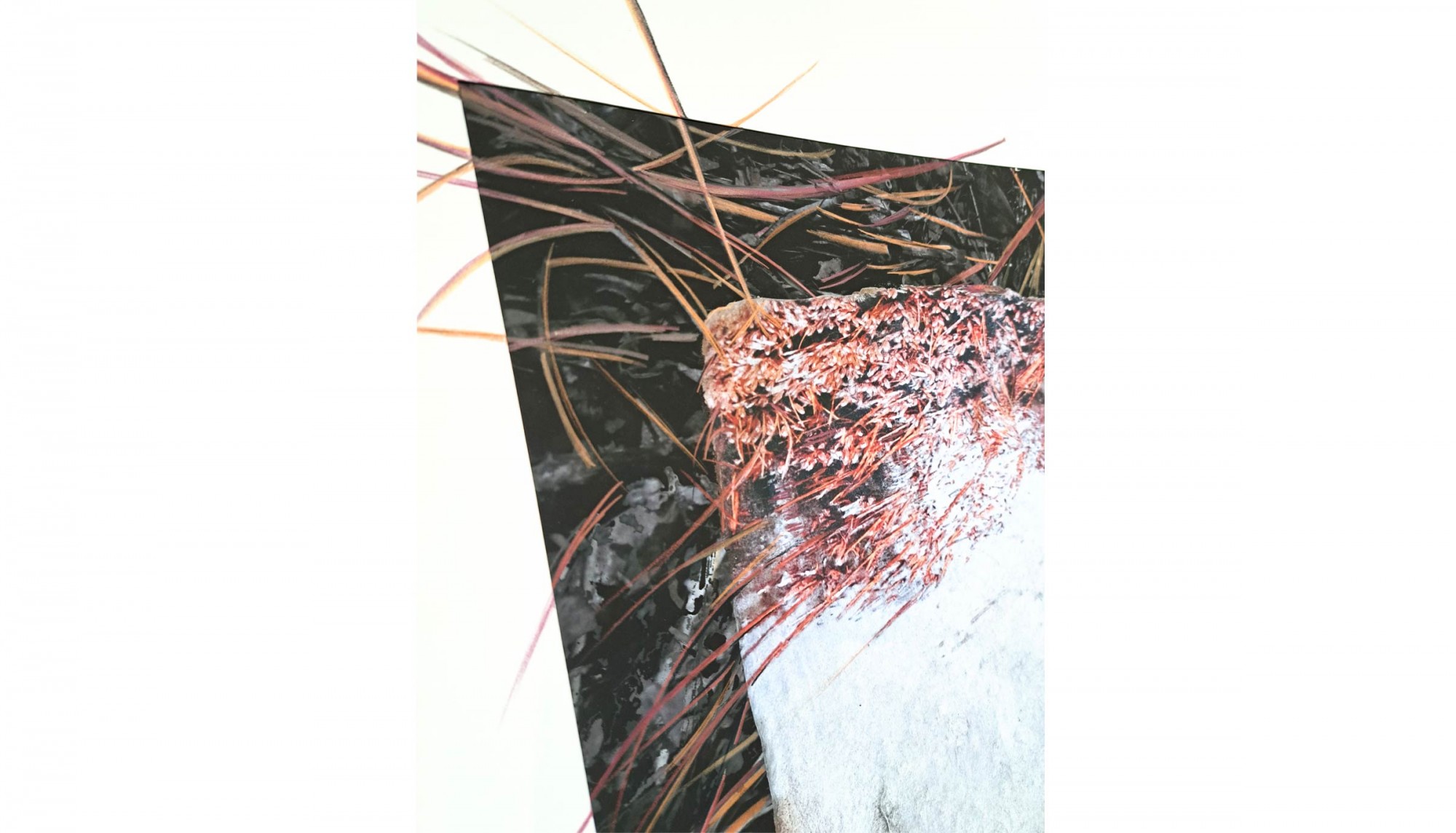 ARBEFEUILLE GALERIE - Restitutions 3 d'apres nature