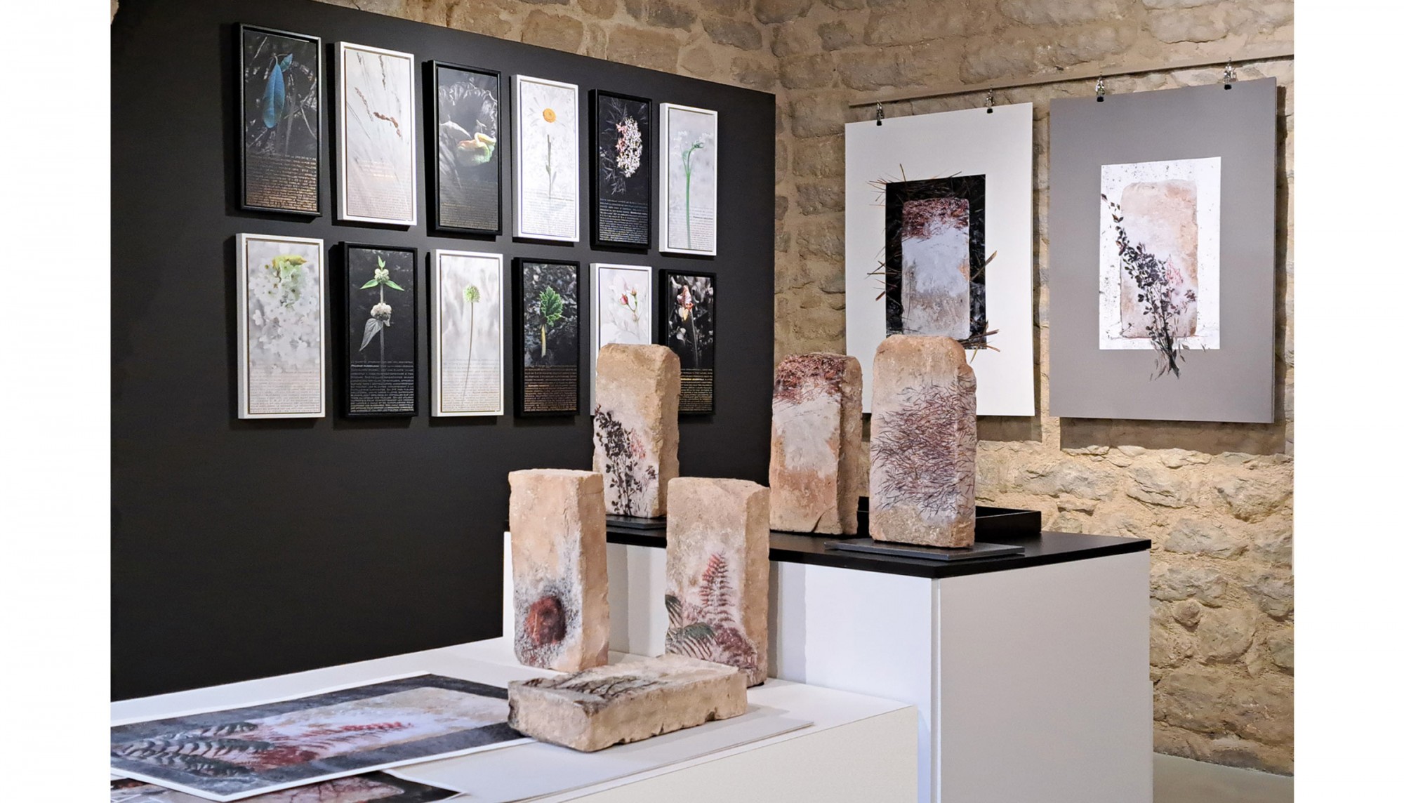 ARBEFEUILLE GALERIE - d'apres nature_restitutions