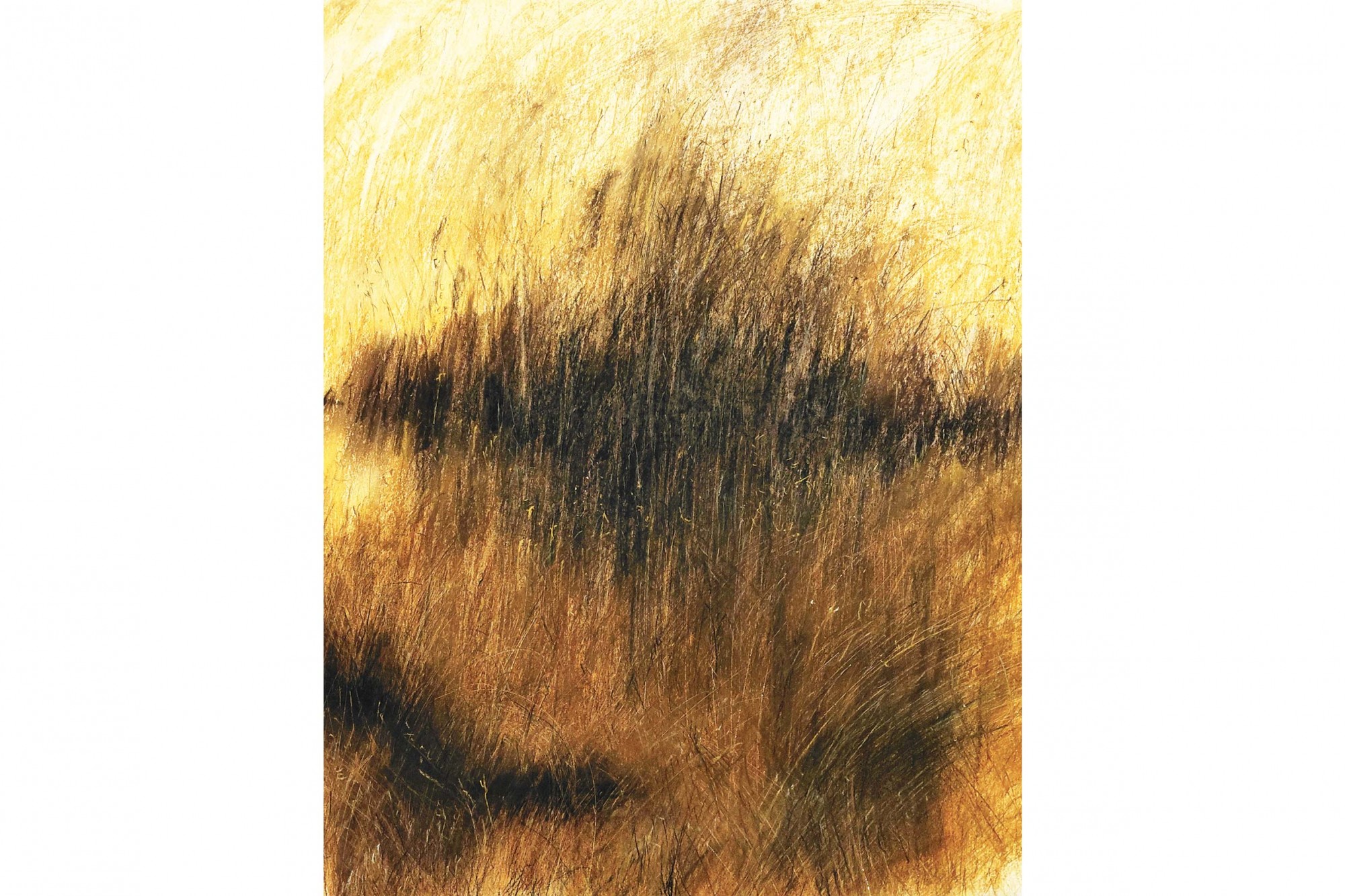 ARBEFEUILLE GALERIE - Lumières JCF